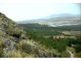 View from Mt Gilboa